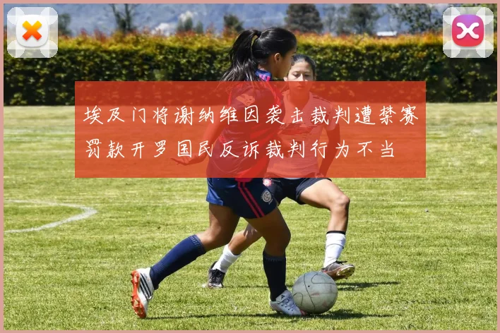 埃及门将谢纳维因袭击裁判遭禁赛罚款开罗国民反诉裁判行为不当