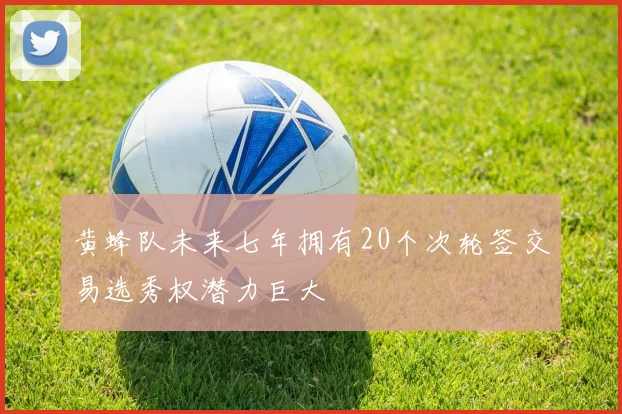 黄蜂队未来七年拥有20个次轮签交易选秀权潜力巨大